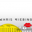 Visionair : Chris Liebing